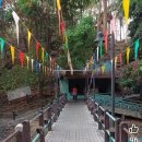 (주)그린월드 이미지