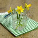 민 행정사 이미지