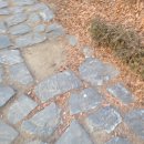 전촌솔밭해수욕장 이미지