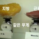 뻔치복싱클럽 이미지