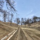 미암2리 이미지