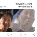 자라우새길 네이버블로그