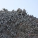 강원그릇 이미지