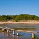 꽃뱅이정원 이미지