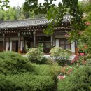 자연환경산업 Daum카페