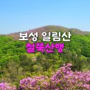 제353회4월28(일)보성일림산,율포해수욕장트레킹공지 이미지