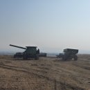 햇빛촌 농원 이미지