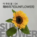 평내로167 이미지