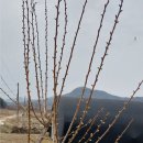 운마농장 네이버블로그