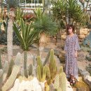 무자크(MUZAK) 이미지