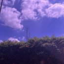 하늘아래편안한집 이미지