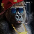 현대고시텔 이미지