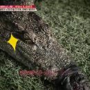 머드온천랜드 이미지