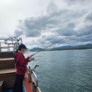 금강호 | 강릉 낚시배 강릉 원탑 금강호 후기, 낚시 대성공