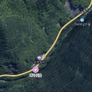 마음애고향 이미지