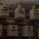 주주농장 이미지