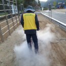 일월초등학교(청기분교) 이미지