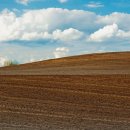 강행정사사무소 이미지