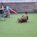 예은켄넬 이미지