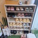 개팔상팔 이미지