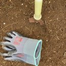 부산농약종묘사 이미지