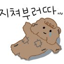 카페왘