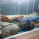 아침바다 2호점 이미지