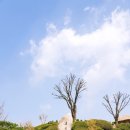 까치울마을4단지주차장 | 제천 청풍문화유산단지 관람시간 무료입장 방문후기