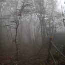 산내들내 이미지