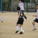 이호 초등학교 이미지