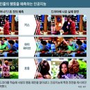 미래영상시스템