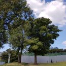 안산종합여객터미널 이미지