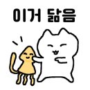 서면산오징어