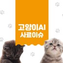 네이처스로우 이미지