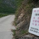 나룻배민박