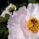 실버요가(중급) 이미지