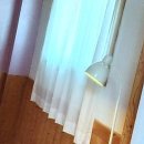 따스한봄날 | 따스한 봄날, 설레는 전주 여행을 계획해 보세요요!