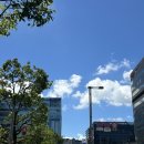 후쿠오카여행(2) 스시사카바사시스/크로스라이프 하카타텐진/저스트밋야끼니꾸/돈키호테