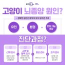 서울동물영상종양센터 네이버블로그