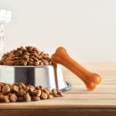 이가소프트 이미지