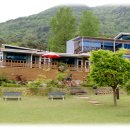 더큰나무펜션 이미지