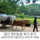 영농조합법인 빨간데이놀이터 | 용인 한터농원 아이와 농촌체험 맛집 주차 예약 아이와 가볼만한 곳