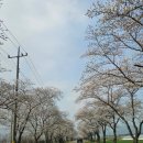 곡성 신기 구간 이미지