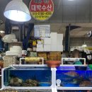 [캠핑여행] 부여 조용한고 깨끗한 단독 사이트 캠핑장ㅣ내안의숲 편백5번 사이트ㅣ콜맨 코스트라인3