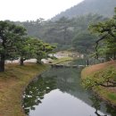 수목다실 이미지