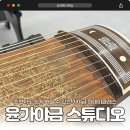 12현에서 25현까지 가야금 배우기 | 인천 윤가야금 스튜디오 | 가야금레슨 원데이클래스로 아리랑 연주까지! 🎶