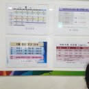 세교복지타운 수영장 이미지