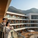 노벨리조트 | 단양 감성 가득한 소노벨단양 리조트 숙소 후기