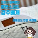 실프 | 경추베개로 찾은 러너의 회복템, 밸런스코드 실프베개 사용후기