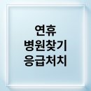 오류보건진료소 | 연휴 응급상황 완벽 대비: 24시간 병원/약국 찾기부터 대처법까지